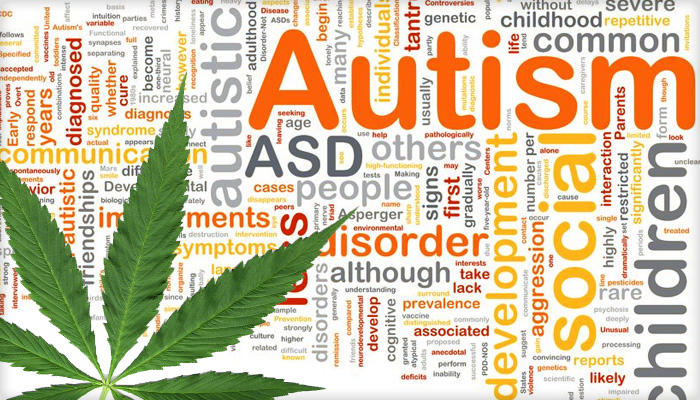Marijuana and Autism: What You Need to Know