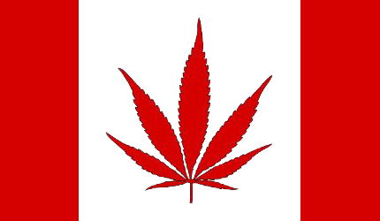 Medical Marijuana Lounge in Canada