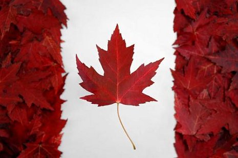 Canada's Cannabis Legalization