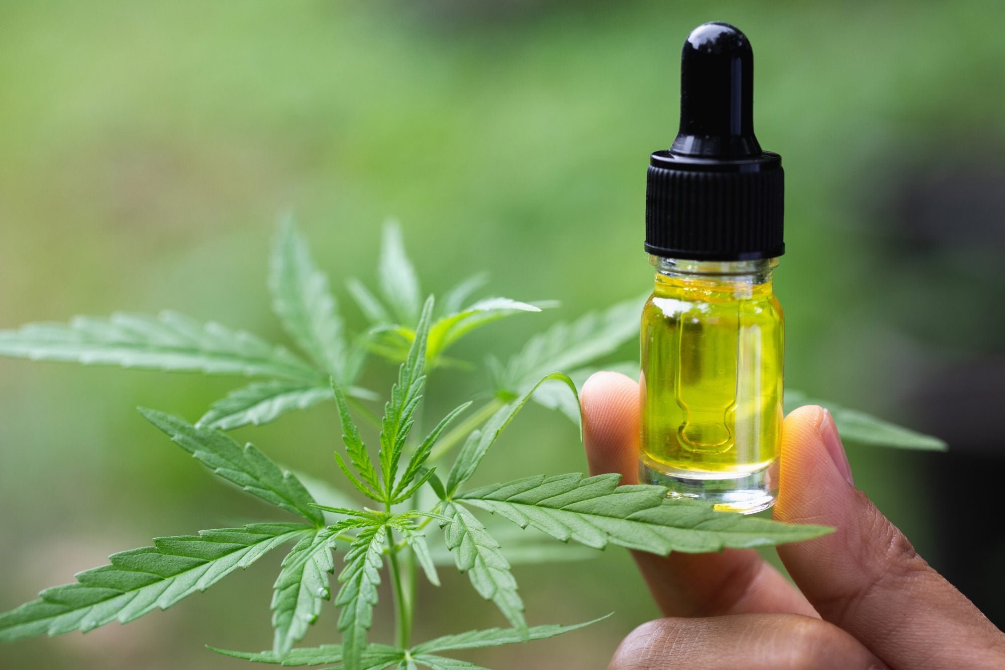 Unleashing the Medicinal Marvels of CBD Oil: Vaping Your Way to Wellness!