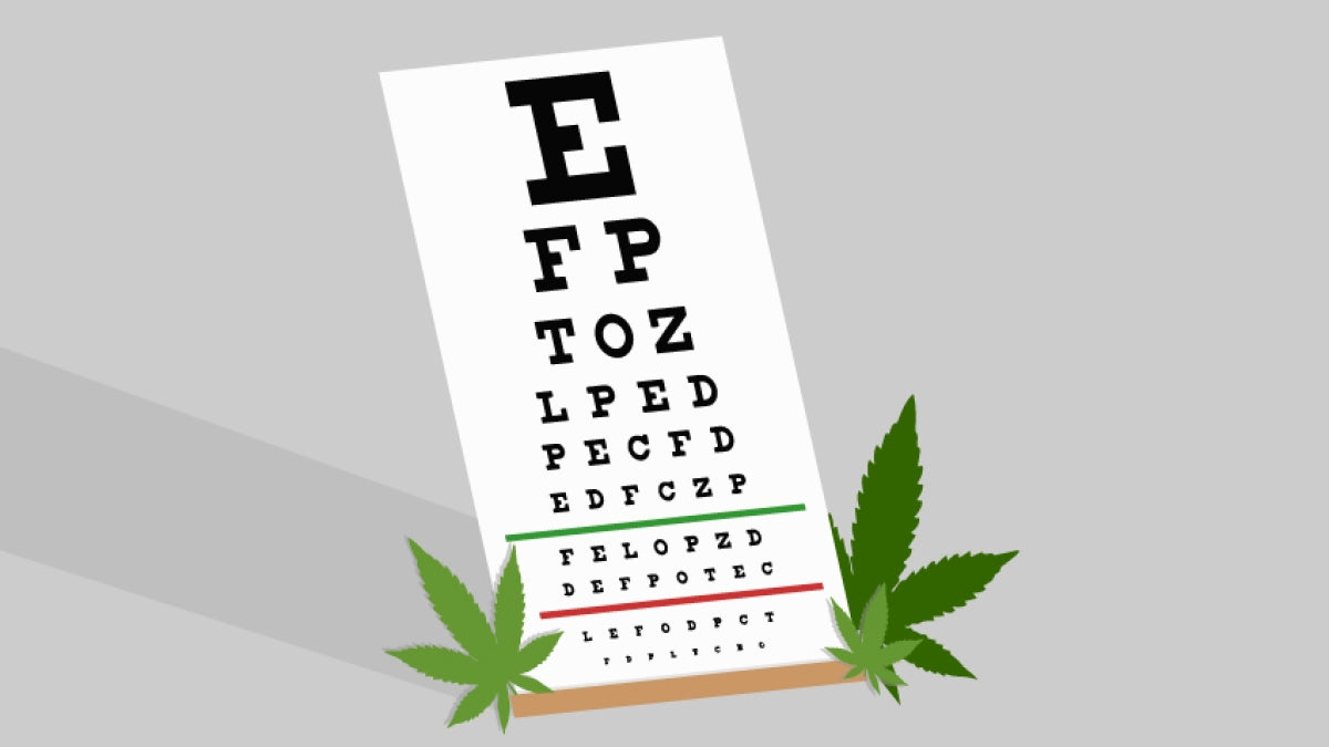 Understanding the Potential Benefits of Marijuana in Managing Glaucoma