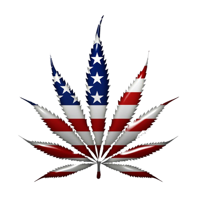 Status Vape - Learn More