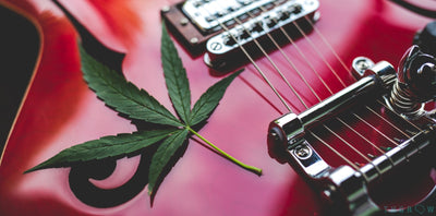 Harmonizing Highs: The Symbiotic Relationship Between Cannabis and Music