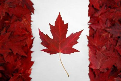 Canada's Cannabis Legalization