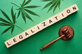 The Evolution of Marijuana Legalization: A Transformative Journey