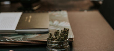 The Weird, True Story of Delta-8, Hemp’s Lab-Extracted Cannabinoid causing a ruckus in all 50 states