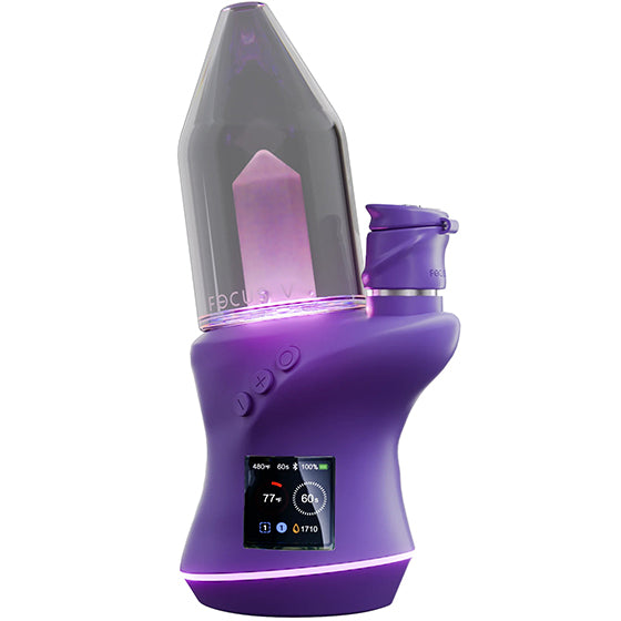 Focus V Carta 2 Grape