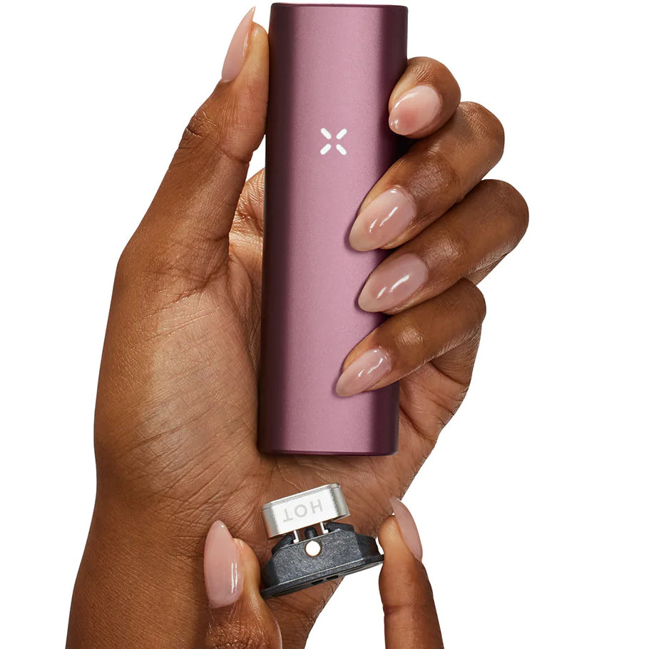 Pax Plus ELDERBERRY open