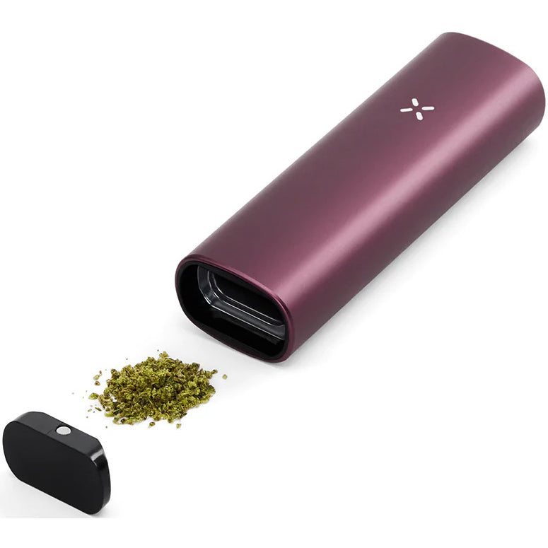 Pax Plus ELDERBERRY oven