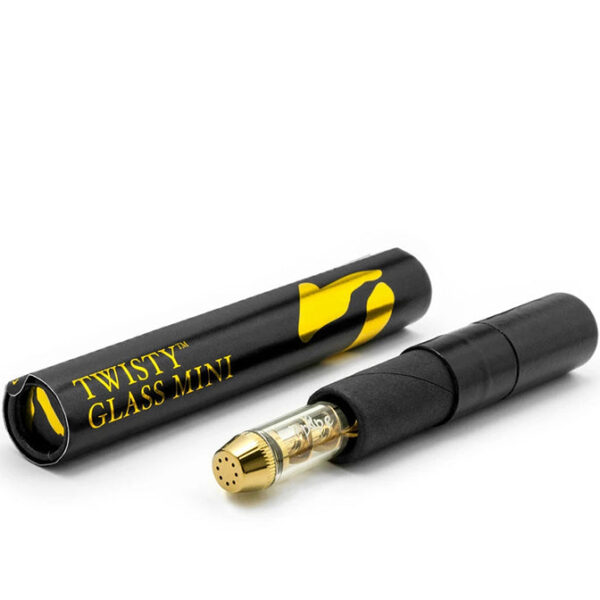Twisty Glass Blunt Mini case